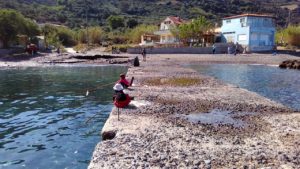 Fishing from the small pier