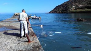 Beach Cleaning in Ravdoucha