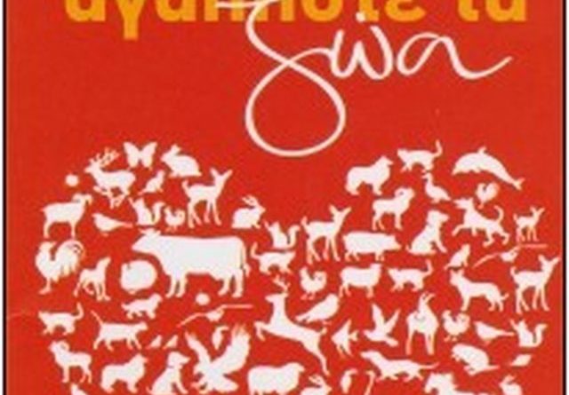 16 Jan Stray Animals