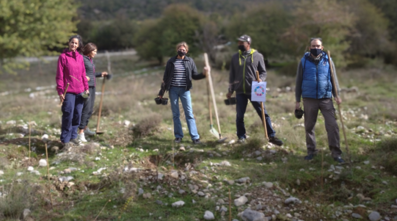 75 Trees Omalos Plateau